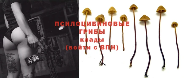 spice Кинешма